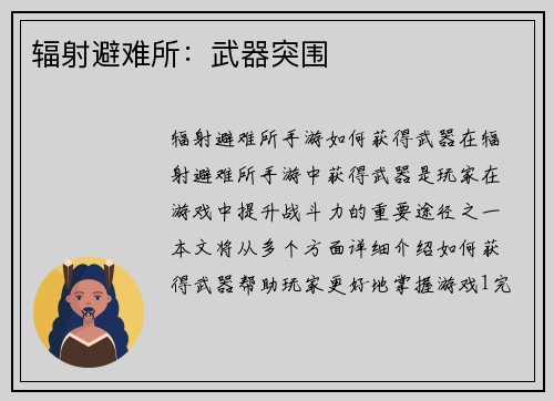 辐射避难所：武器突围